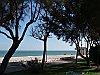 Roseto degli Abruzzi thumbs/12-PA183395+.jpg